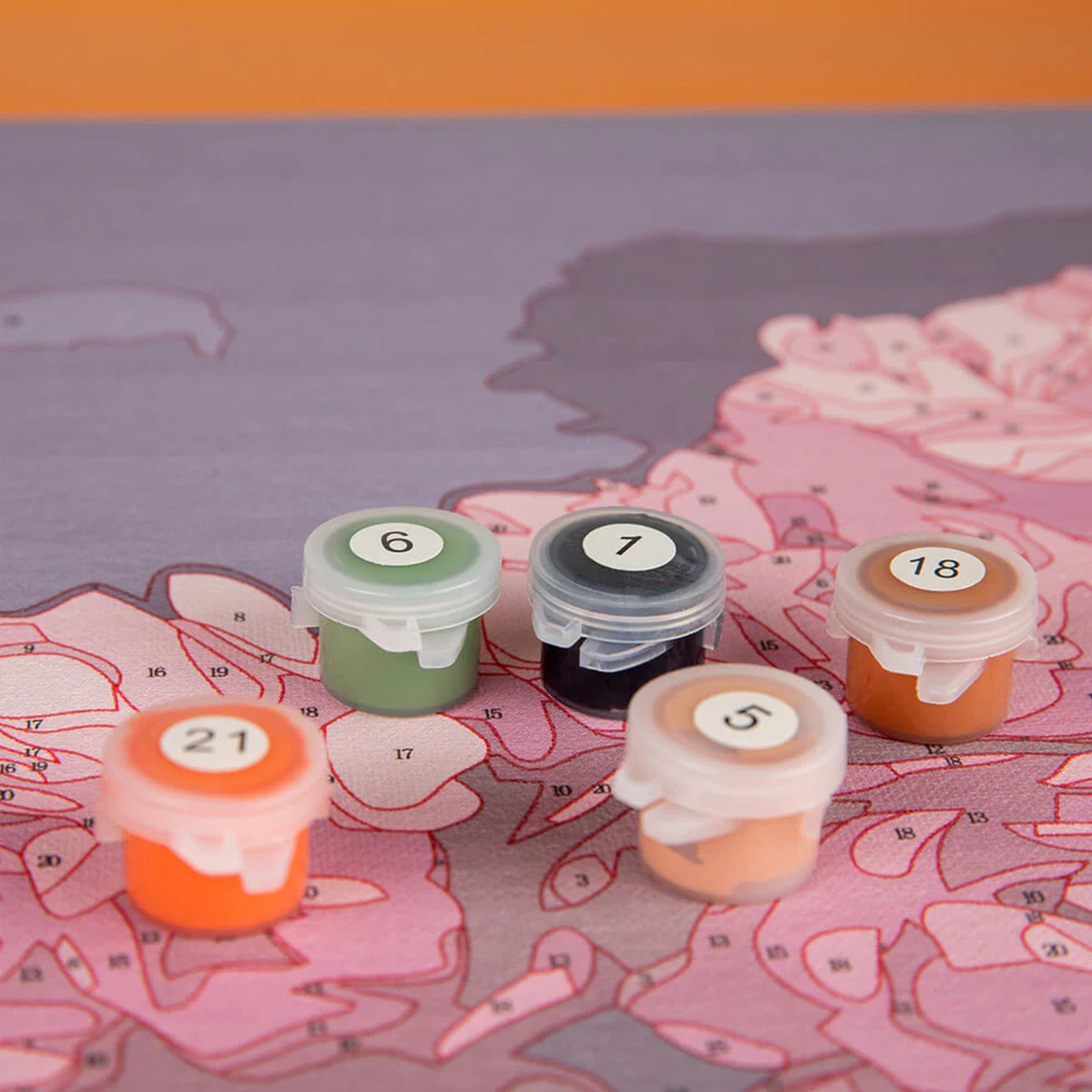 1336 shopify image Malen nach Zahlen Acrylfarbe aus naechster Naehe 4