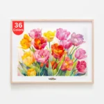 Colorful Tulip Bouquet Paint by Numbers Kit for Adults