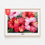Vibrant Hibiscus Flowers Paint by Numbers Kit